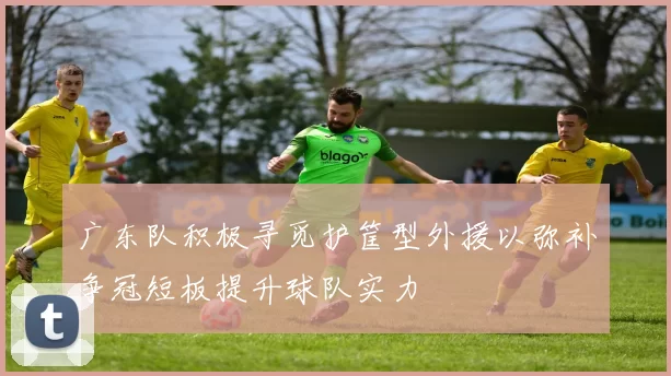 广东队积极寻觅护筐型外援以弥补争冠短板提升球队实力