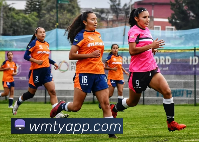 完美体育APP发展历程